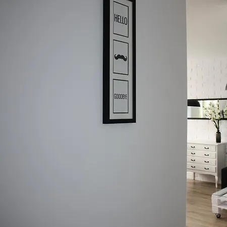 Apartman Aleja 39/41